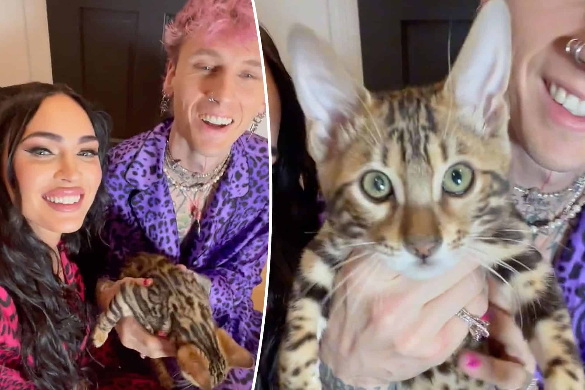 megan-fox-and-mgk-introduce-their-adorable-kitten-to-the-world